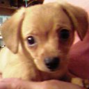 ���� ������, ������, 60 ��� - ��������� 28 ���� 2011 � ������ ���� ����������