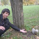 ���� ��������, ���������, 37 ��� - ��������� 14 ������ 2012 � ������ ���� ����������