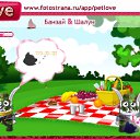 ���� �����, ����������, 54 ���� - ��������� 8 ������ 2010 � ������ �PetLove�