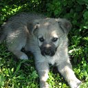 ���� �������, ��������, 37 ��� - ��������� 2 ������ 2009 � ������ ����������