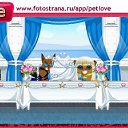  , , 42  -  8  2010   PetLove