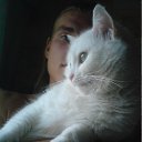 ���� ���������, ���������, 36 ��� - ��������� 25 ������� 2011 � ������ ���� ����������