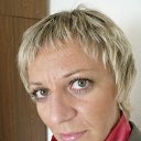 ���� ��������, ����������, 44 ���� - ��������� 1 �������� 2012 � ������ ���� ����������