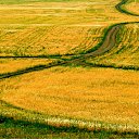 ���� Anna, ������, 62 ���� - ��������� 14 ��� 2012 � ������ ���� ��� ������