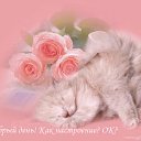 ���� ����@, �������, 50 ��� - ��������� 29 ������ 2011 � ������ ���� ������