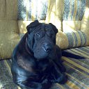 ���� �����, ������, 60 ��� - ��������� 19 ���� 2013 � ������ ���� ����������