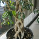 ���� ������, �����, 41 ��� - ��������� 22 ������� 2012 � ������ �������