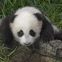 ���� Alexandr, �������������, 48 ��� - ��������� 28 ������ 2010 � ������ ���� ����������