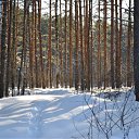 ���� ������, ��������� - ��������� 26 ������� 2011 � ������ �����