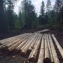 ���� ����, ����, 44 ���� - ��������� 13 �������� 2011 � ������ �������