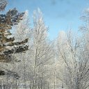 ���� ����, ������������, 49 ��� - ��������� 2 ������� 2012 � ������ ���� ����������