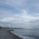  , -, 81  -  22  2013    