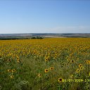 ���� ����, ��������, 39 ��� - ��������� 5 ������ 2010 � ������ ���� ������ �����
