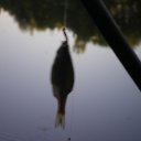 ���� �������, ����, 56 ��� - ��������� 19 ������� 2011 � ������ ���� ����������