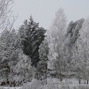 ���� ������, ������ - ��������� 10 ������ 2012 � ������ ���� ����������