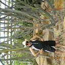 ���� �����, ���� - ��������� 21 ������ 2011 � ������ �� ��������