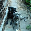 ���� Dimka, ������, 57 ��� - ��������� 5 ����� 2012 � ������ �TIERE�