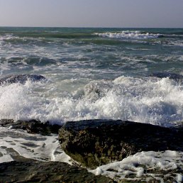 ���� ����������, ������ - ��������� 8 �������� 2012