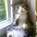 ���� �����, ������������, 38 ��� - ��������� 6 ������� 2012 � ������ ���������� ������