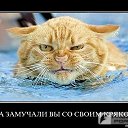 ���� ������������������������������������������������������������������, ��������, 39 ��� - ��������� 10 ���� 2010 � ������ ����ݻ