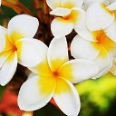 ���� ����������, ������, 42 ���� - ��������� 1 ������ 2012