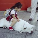 ����������� �������... ������ �� ������� ���� ����������