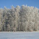 ���� Anatoly., ������, 65 ��� - ��������� 17 ������ 2013 � ������ ��������
