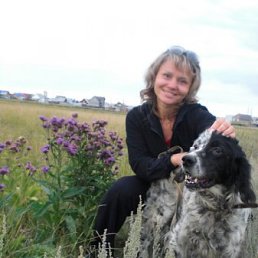 �����, ������, 56 ���