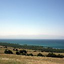 ���� ����������, ����, 75 ��� - ��������� 17 ������ 2012 � ������ �������