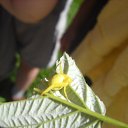  , , 32  -  21  2011   !Mazirbe