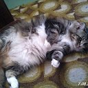  ,  -  16  2009     &quot;&quot;  - !