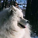 ���� ������, �����������, 31 ��� - ��������� 12 ������ 2012