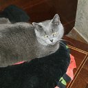 ���� �����, �������, 45 ��� - ��������� 4 ���� 2011 � ������ �������