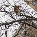 ���� ��������, ������ - ��������� 8 ����� 2011 � ������ �����-���