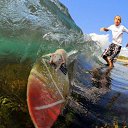 ���� ���������� �����), ����, 85 ��� - ��������� 26 ������� 2012 � ������ ����