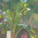 ���� �����, ������, 56 ��� - ��������� 5 ���� 2012 � ������ ���� ����������