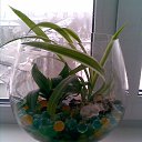 ���� ����, ����, 70 ��� - ��������� 10 �������� 2012 � ������ �������