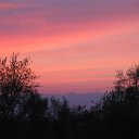 ���� �����, �������, 48 ��� - ��������� 7 ���� 2010 � ������ ���� �������