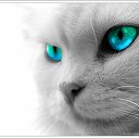   ( - !), , 59  -  19  2011   RoadKing