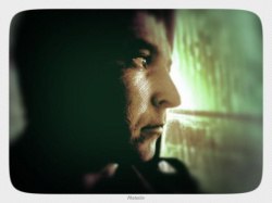 �����, ��������, 41 ���