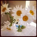 ���� �������, ������-��-����, 36 ��� - ��������� 4 ���� 2013 � ������ ���� ����������