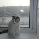 ��� ����� !!!