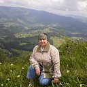 ���� ����, ��������, 54 ���� - ��������� 2 ������� 2010 � ������ ���� ����������