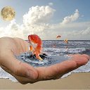 ���� �����, ����� - ��������� 23 ������ 2011 � ������ ����������