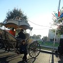 ���� ������, ������, 50 ��� - ��������� 11 ���� 2013 � ������ ���� ����������
