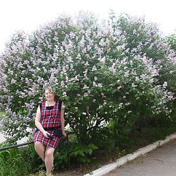 �������, ������, 61 ���