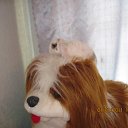 ���� ����, ��������� - ��������� 9 ������ 2011 � ������ ���� ������ ������!�