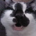   ,  -  26  2013        =)