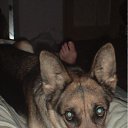   )), , 50  -  22  2011   