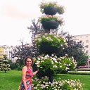 ���� ��������, �����������, 51 ��� - ��������� 24 ���� 2013 � ������ ���� ����������